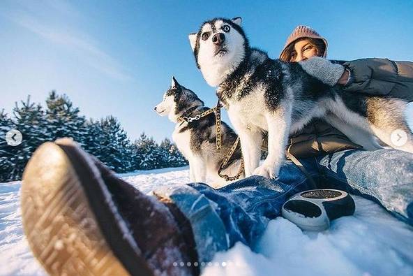 [Максим Добрый] Univer 11 (2022)_0.png